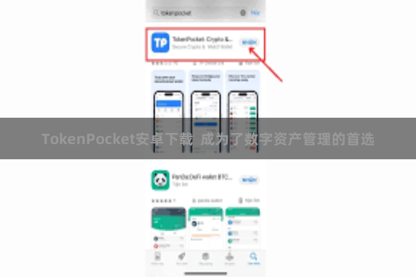 TokenPocket安卓下载 成为了数字资产管理的首选